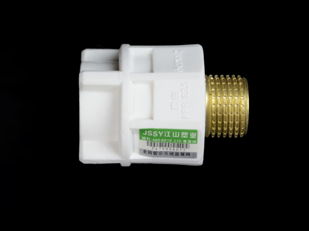 PPR Female Direct Male Direct DN20-63mm (5)