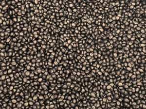 Polyethylene-(PE)-Resin-12